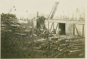 Lumber Camp