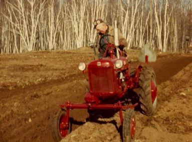 Oscar plowing up the garden in the spring.