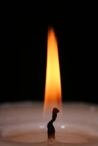 candle flame_opt