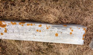 Margaret Hope gravestone